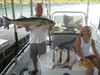 (07/22/2014) - Nice Striped Bass